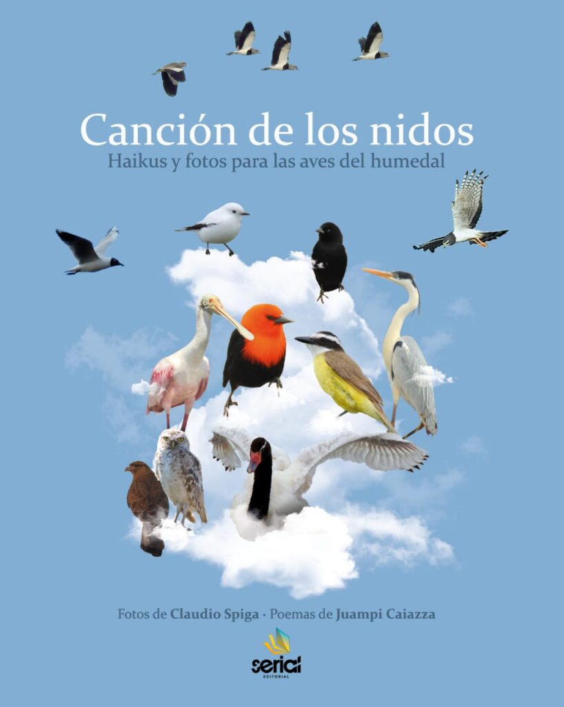 El libro está presentado en un pequeño formato.